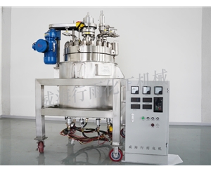 山东中试反应釜