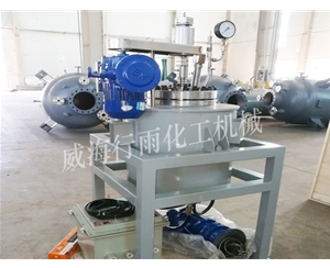 山东中试反应釜