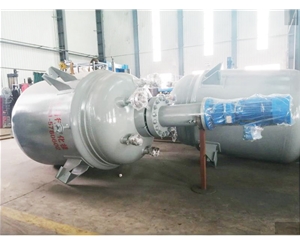山东生产型反应釜