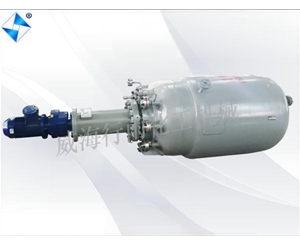 山东生产型反应釜