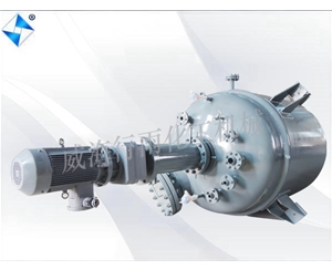 山东生产型反应釜